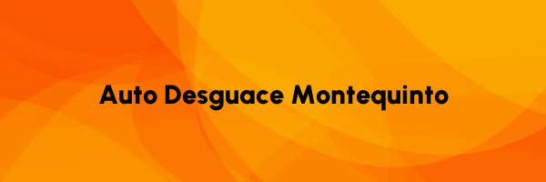 Logo Auto Desguace Montequinto