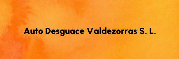 Logo Auto Desguace Valdezorras S. L.