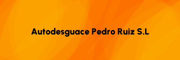 Logo Autodesguace Pedro Ruiz S.L