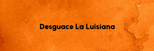 Logo Desguace La Luisiana