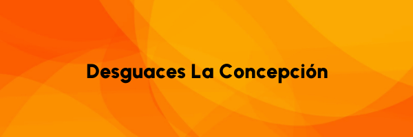Logo Desguaces La Concepción
