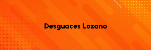 Logo Desguaces Lozano