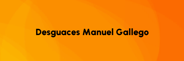Logo Desguaces Manuel Gallego