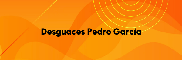 Logo Desguaces Pedro García